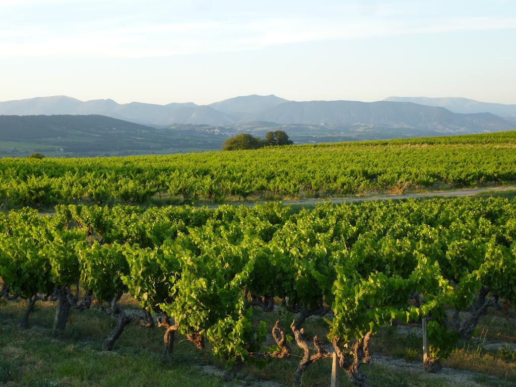 Gite Du Gour Du Peyrol Villa Buisson Buitenkant foto